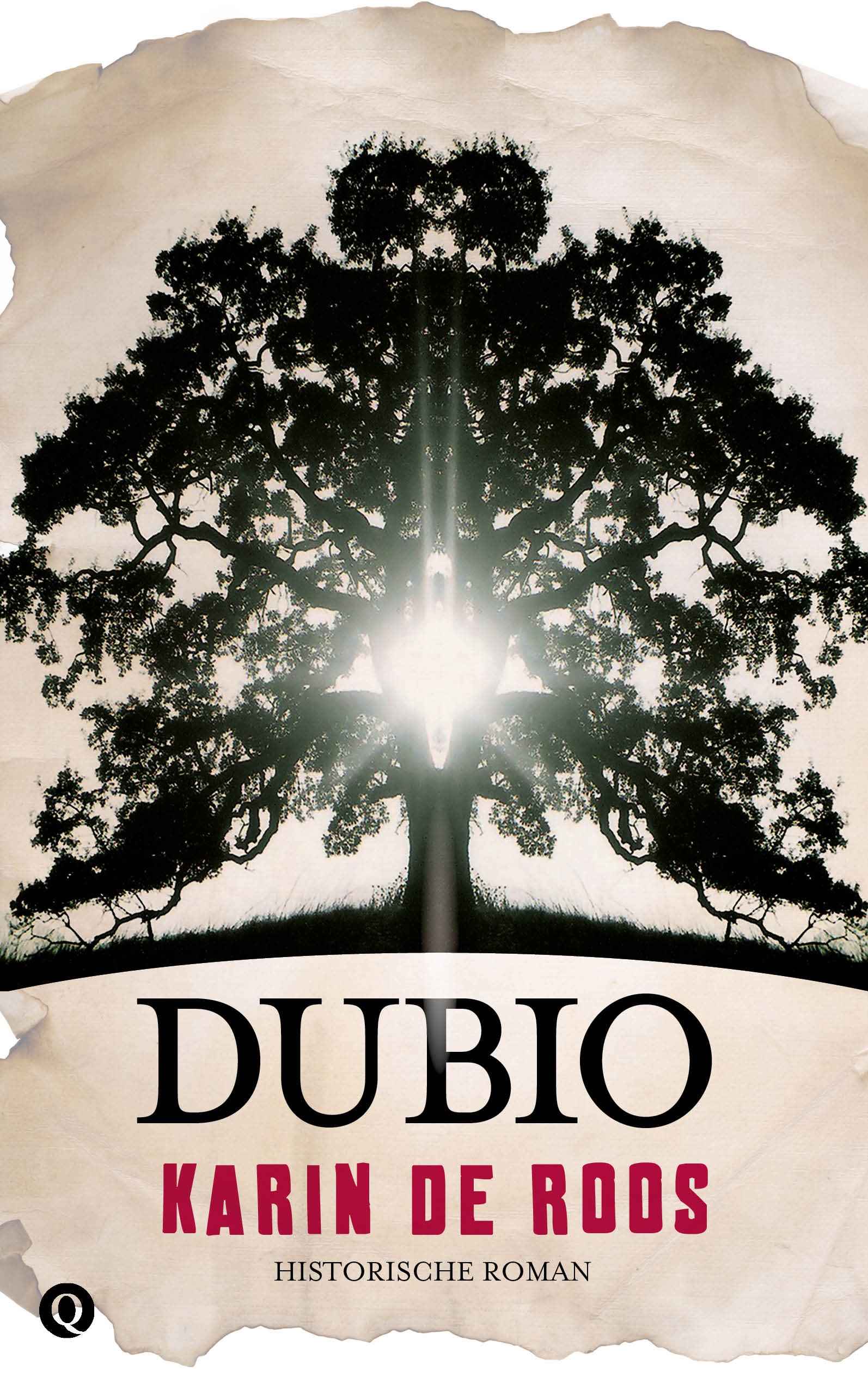 (c) Dubio-boek.nl